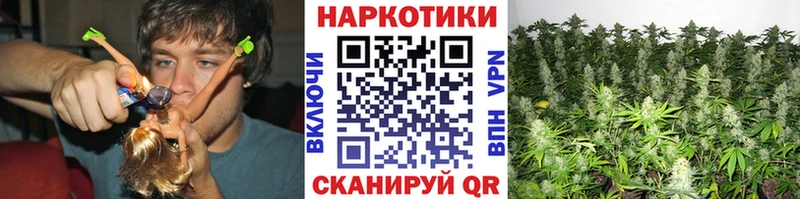 Где найти наркотики Рубцовск Бошки Шишки  Амфетамин  Галлюциногенные грибы  Мефедрон 