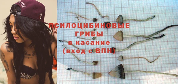 крисы Алексеевка
