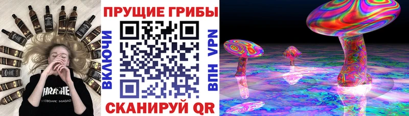 Галлюциногенные грибы ЛСД купить закладку МЕГА ONION Рубцовск